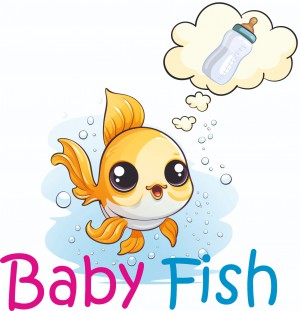 BABY FISH